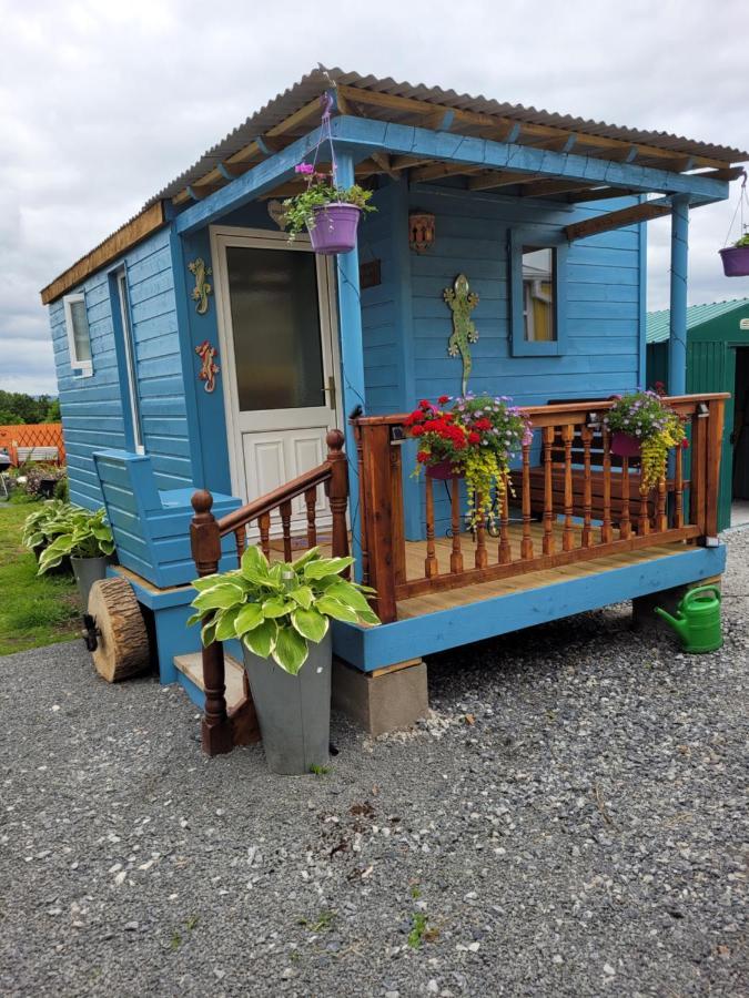 Hotel Wedger'S Hut Nenagh Exteriér fotografie
